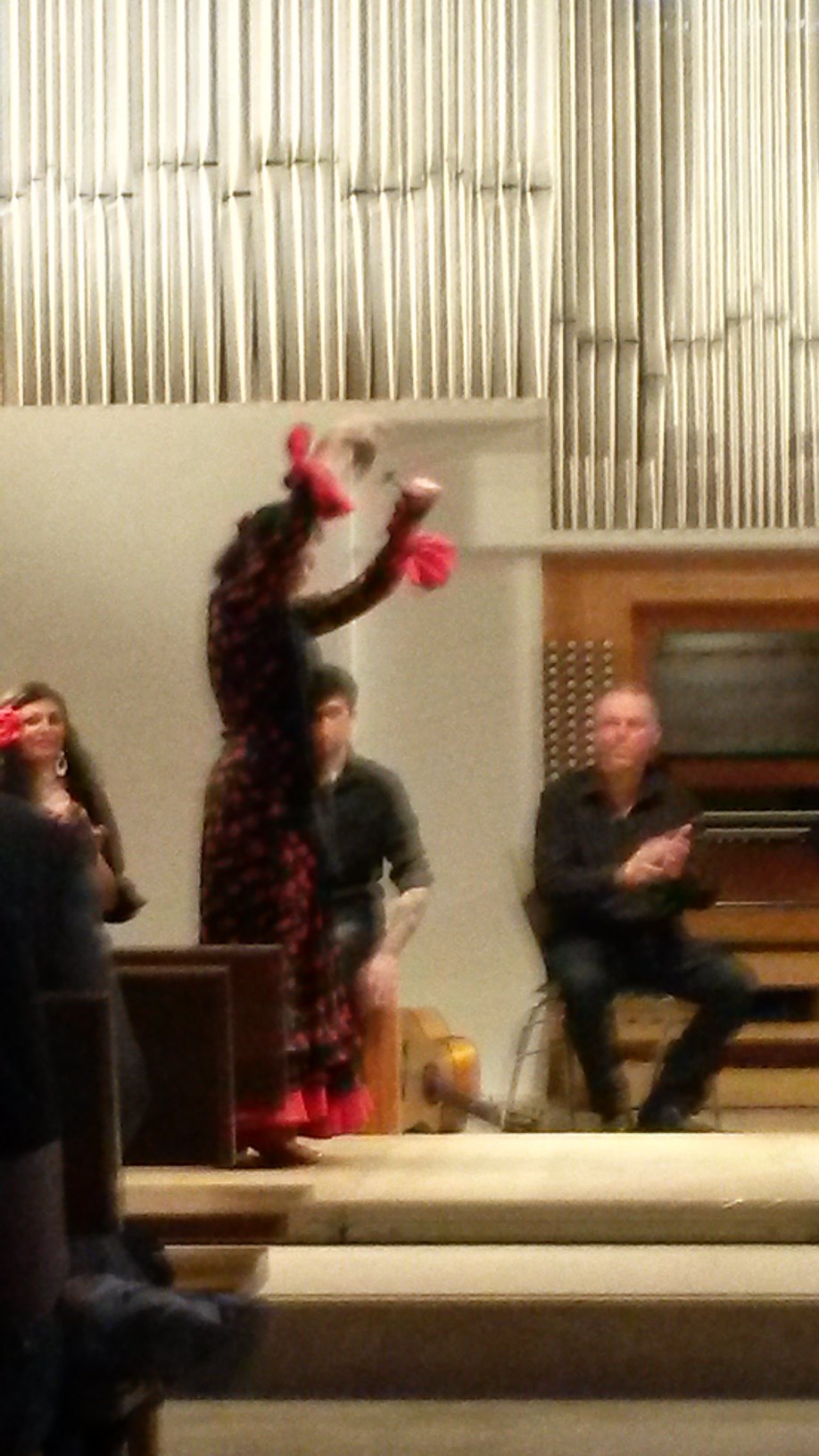 flamenco